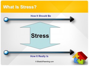 what is stress